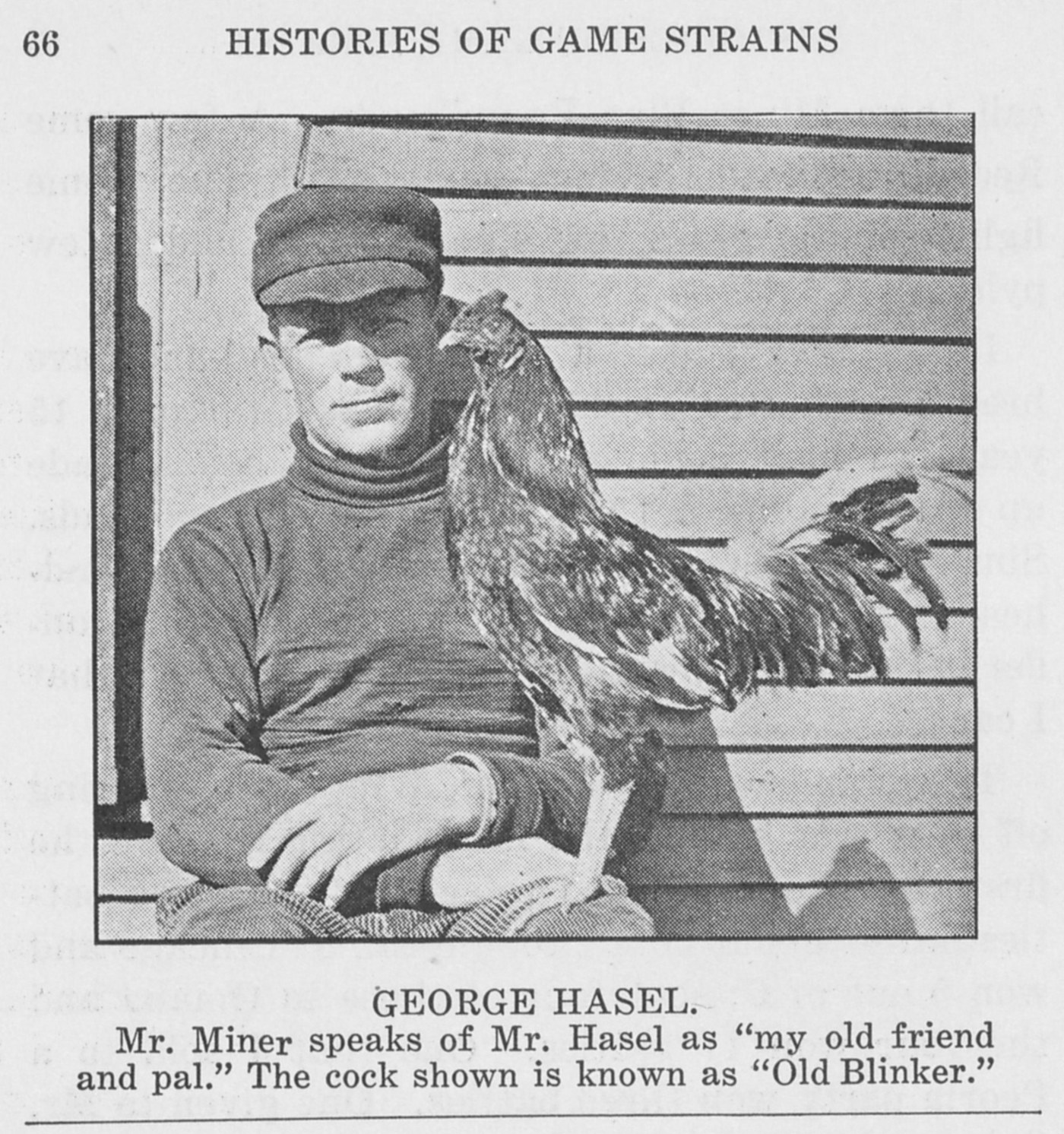 Page 66 of Histories of Game Strains (1928): George Hasel holding the cock known as Old Blinker