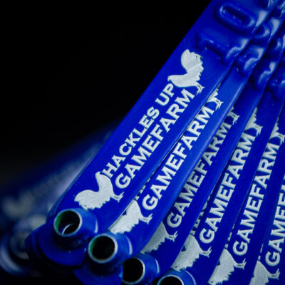 Blue custom engraved leg bands for Hackles Up Gamefarm