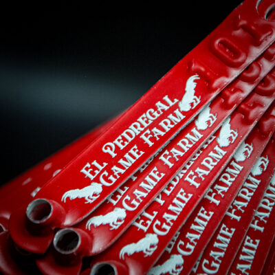 Red custom engraved leg bands for El Pedregal Game Farm