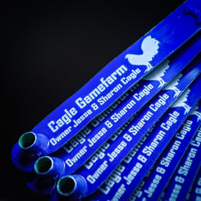 Blue custom engraved leg bands for Cagle Gamefarm